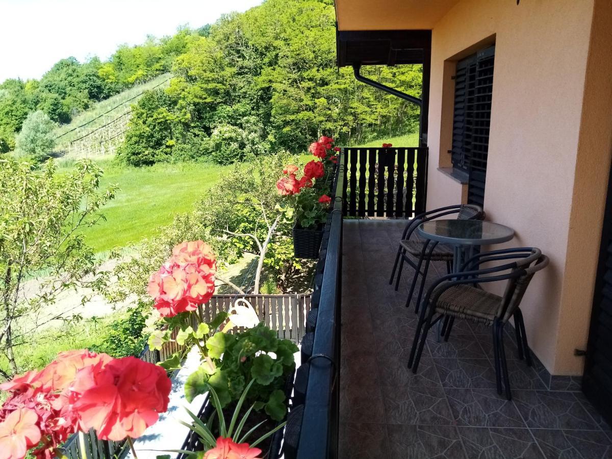 Apartman Potocki Krapina Εξωτερικό φωτογραφία