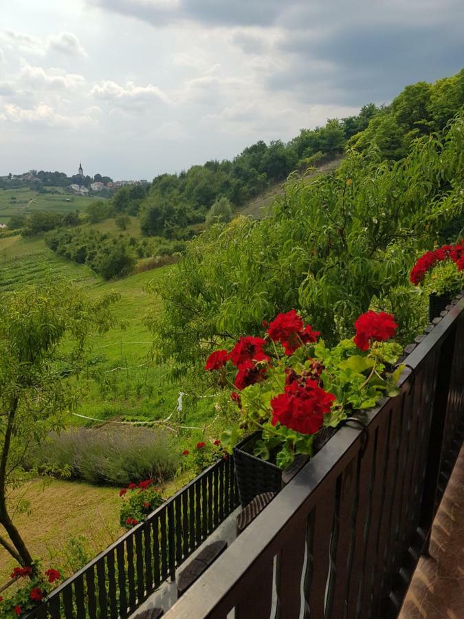Apartman Potocki Krapina Εξωτερικό φωτογραφία