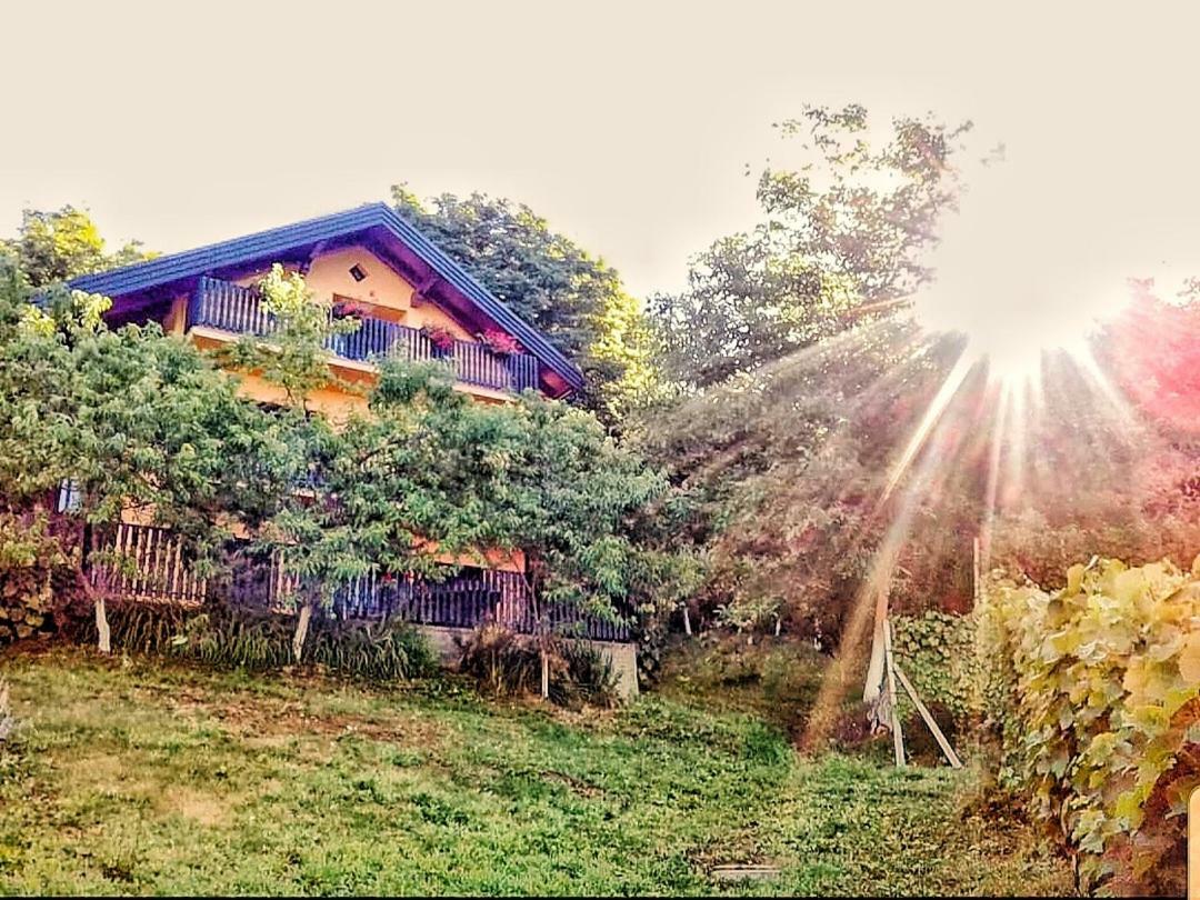 Apartman Potocki Krapina Εξωτερικό φωτογραφία