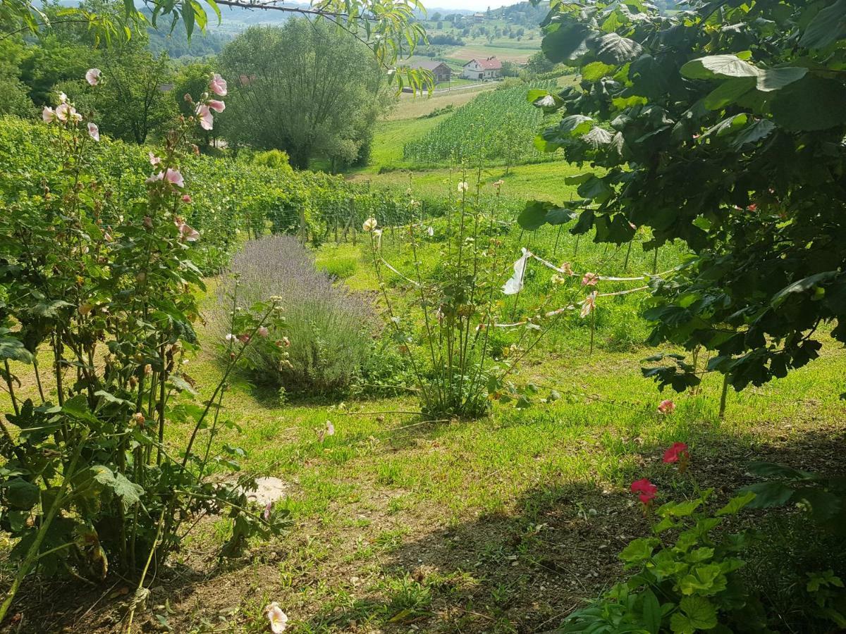 Apartman Potocki Krapina Εξωτερικό φωτογραφία