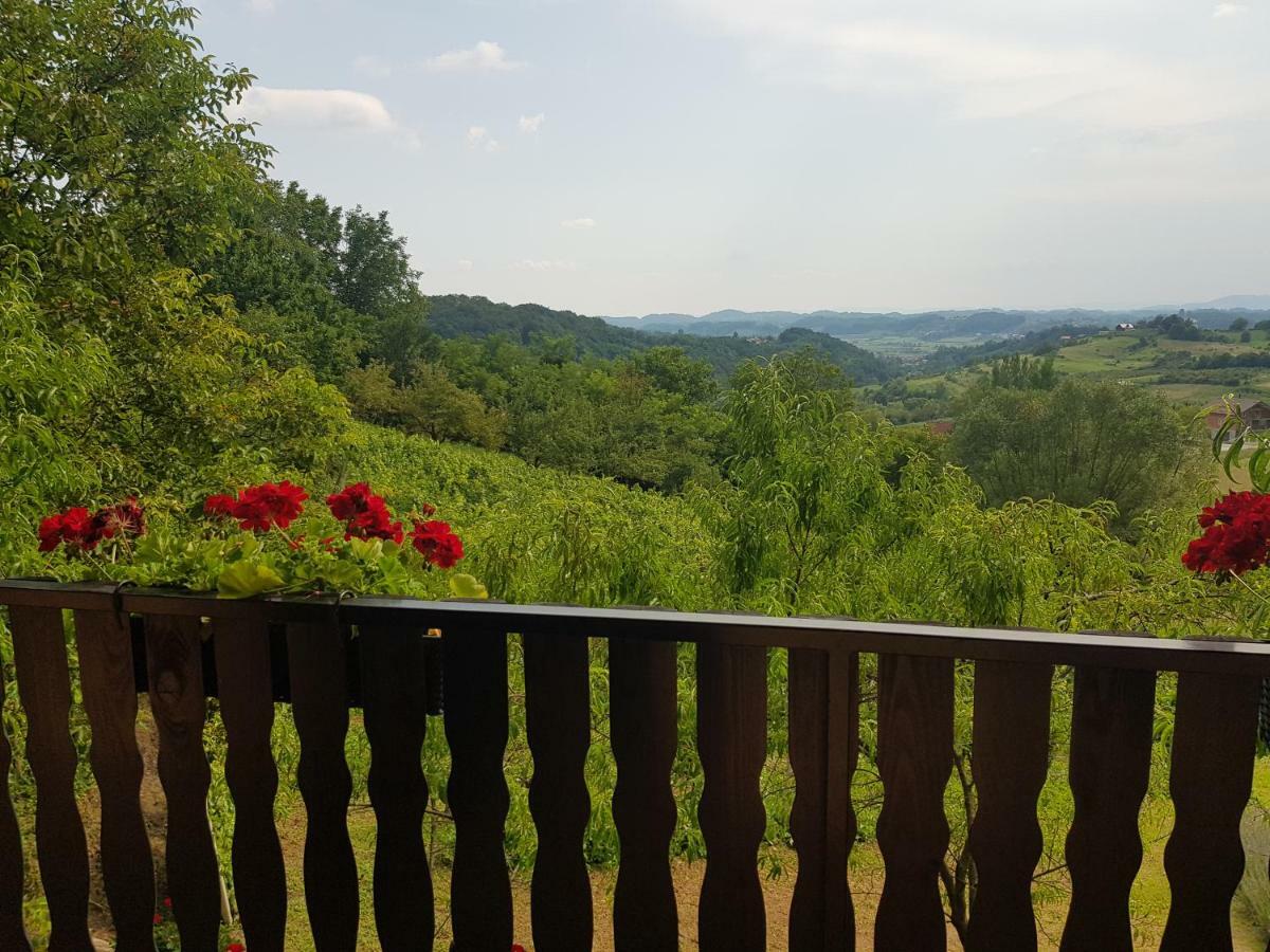 Apartman Potocki Krapina Εξωτερικό φωτογραφία